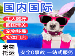 嘎洒机场空运国际宠物托运 【国